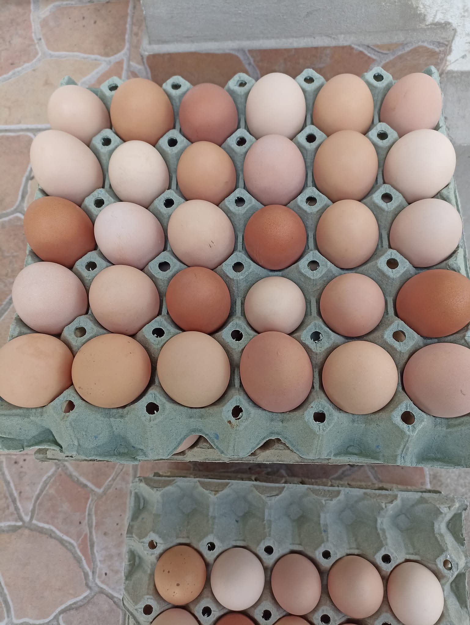 ДОМАШНИ ЯЙЦА -0.25€ / бр.-  ЗА РАЙОНА НА СЛИВЕН - Снимка 2