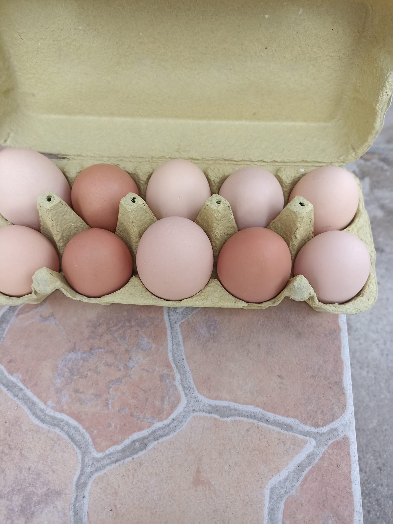 ДОМАШНИ ЯЙЦА -0.25€ / бр.-  ЗА РАЙОНА НА СЛИВЕН - Снимка 3