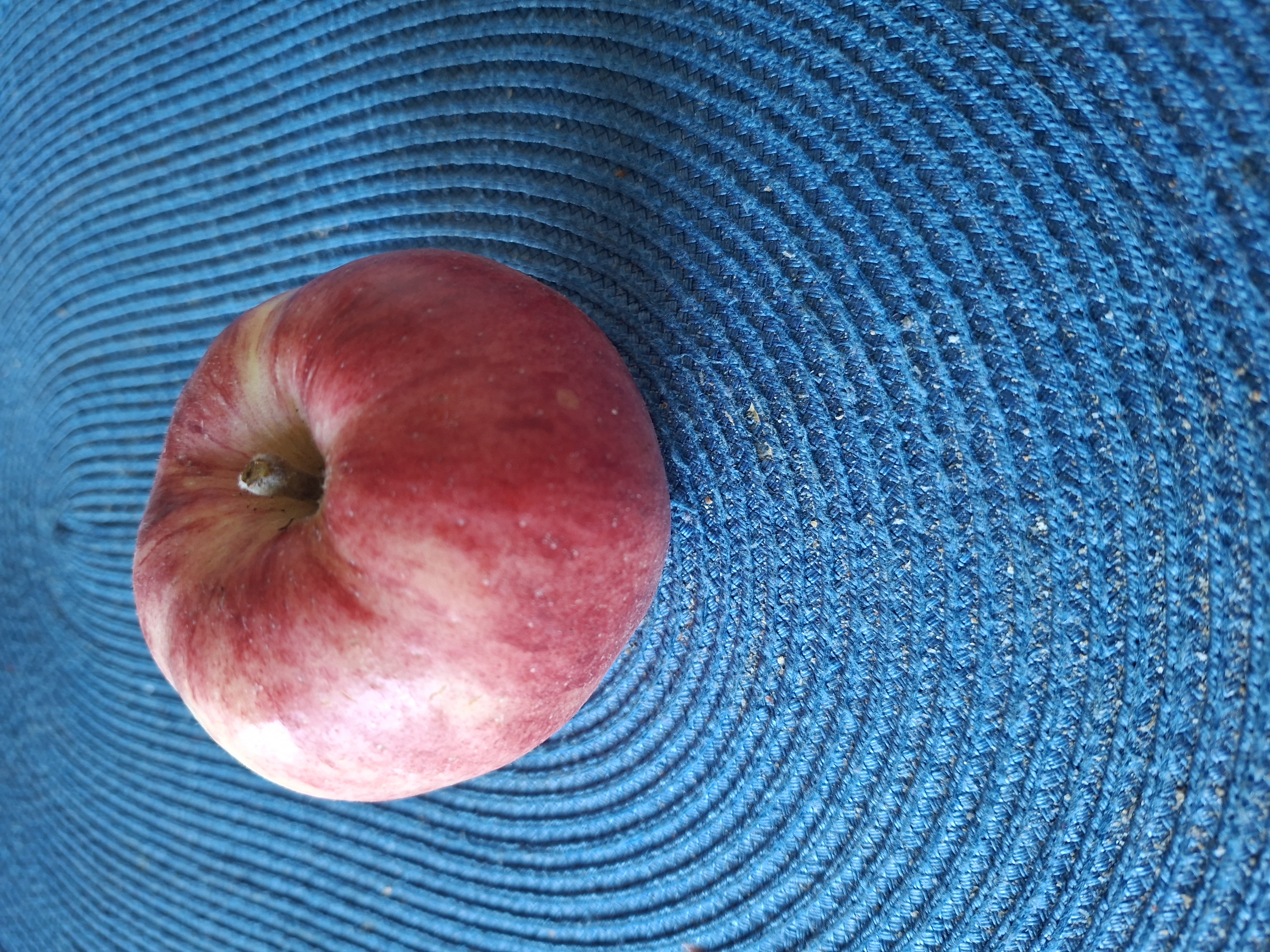 Продавам био ябълки без химия!