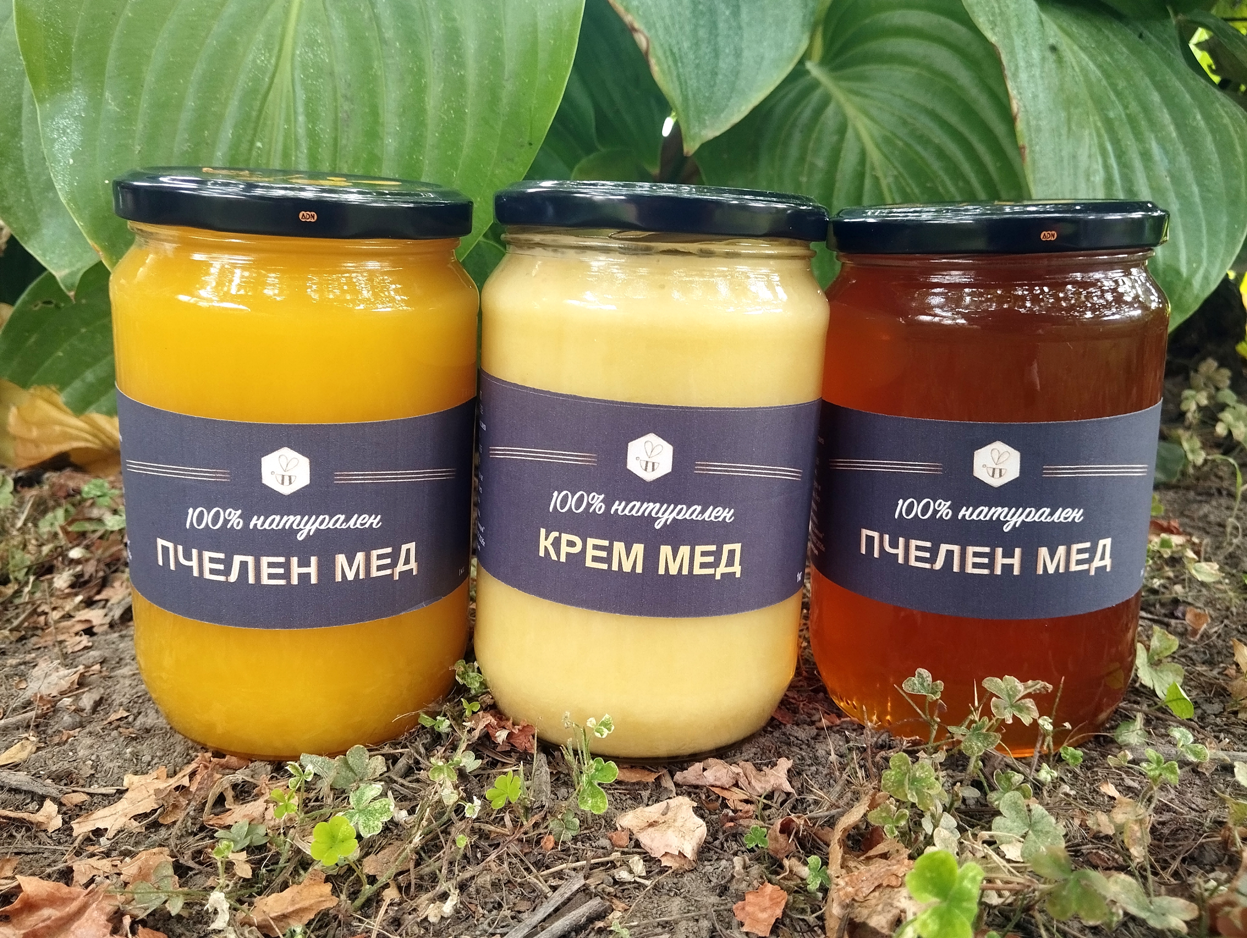 Пчелен мед и пчелни продукти. - Снимка 2