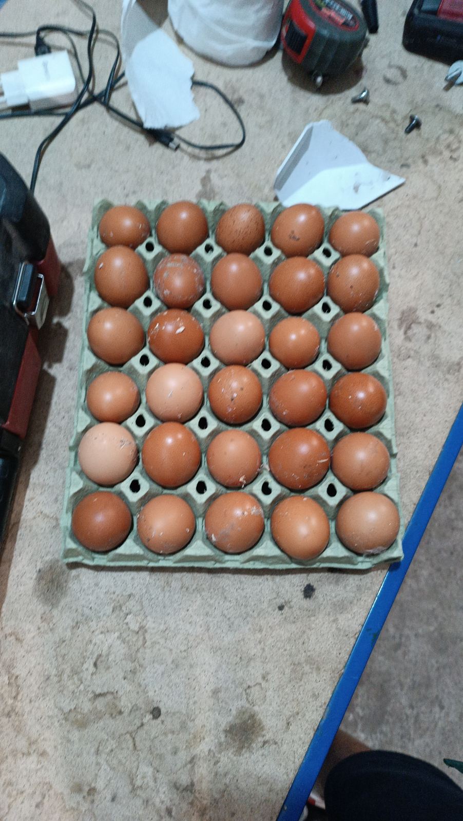 Продавам домашни яйца