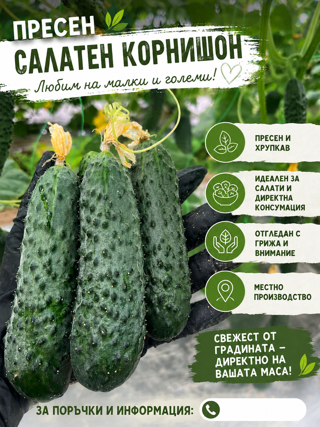 Салатен Корнишон