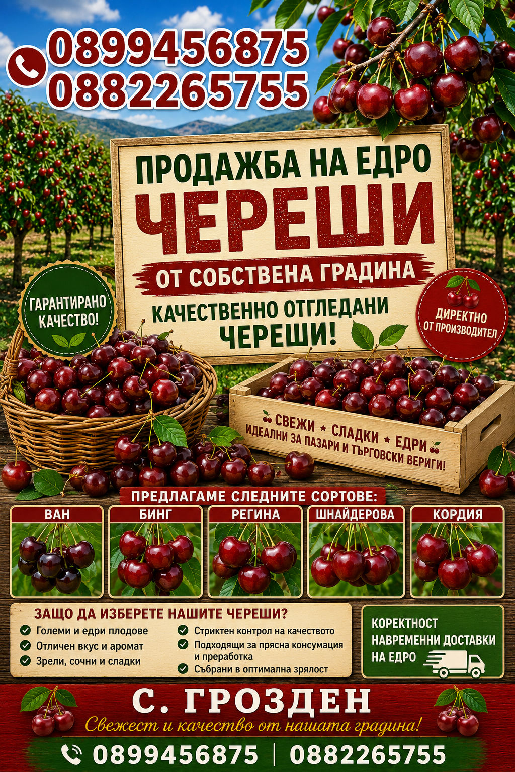 Череши на едро
