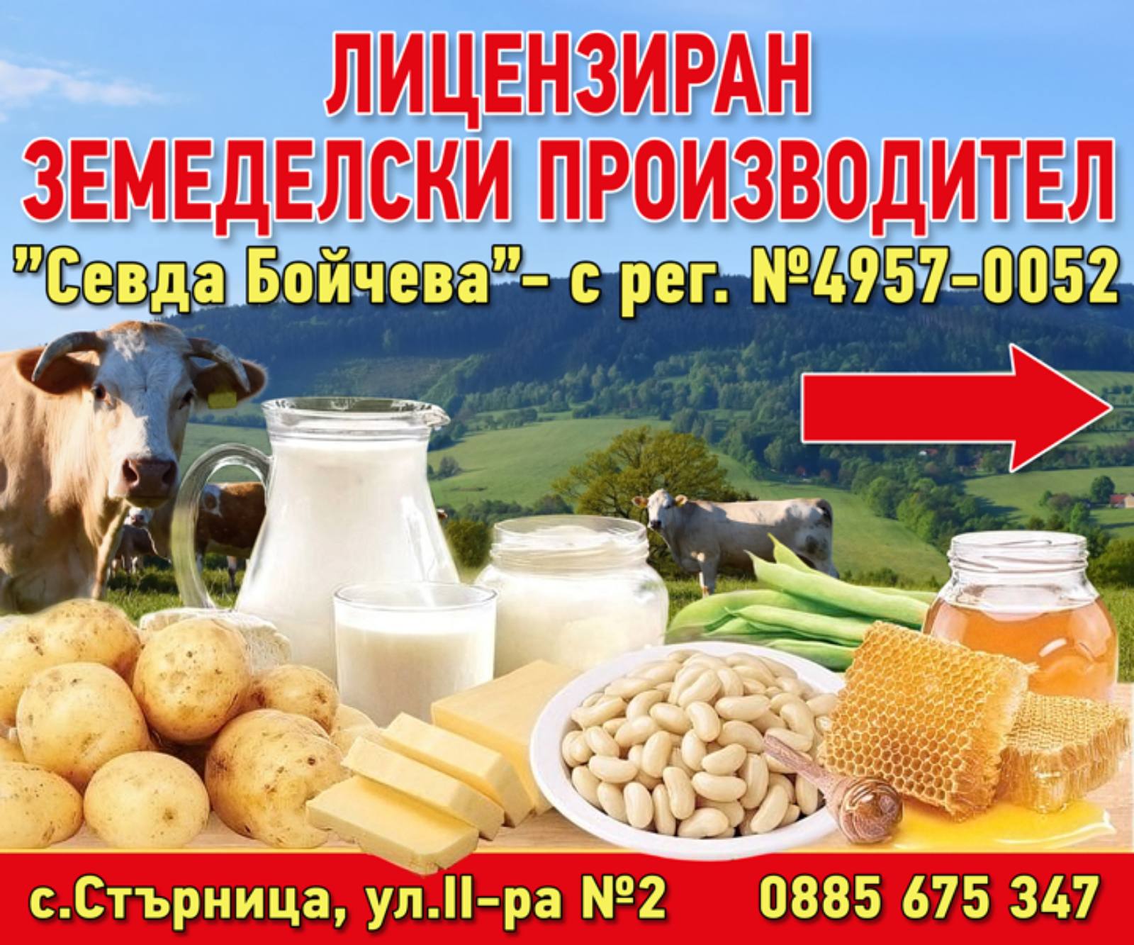 Картофи сорт Агрия Ардапел